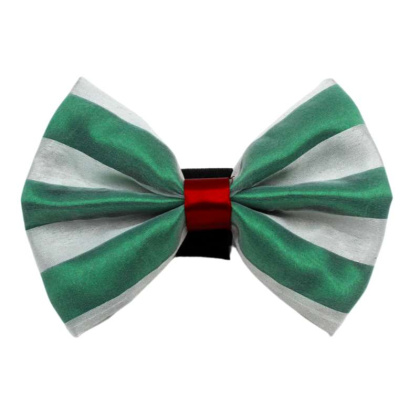 7 - PR3006|Pets Ribbons - 6\