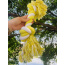 M:2-Knot Sustainable Dog Chew Rope Toys, Heavy Duty Dog Toys