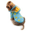Blue - Clear View Happy Sunshine Raincoat with Fleece Lining and Detachable Hood - L