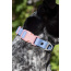Blue Sky Orchid Waterproof Dog Collar - 15 - 17 inch
