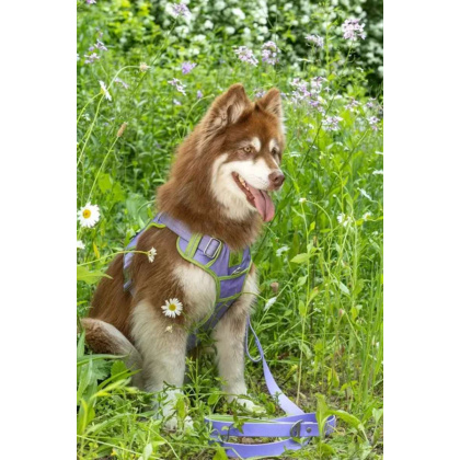 Lavender Garden Ultimate Dog Harness - X-Large
