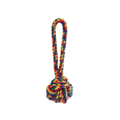 Rainbow - Jax & Bones Celtic Knot Rope Dog Toy   - Small 3\