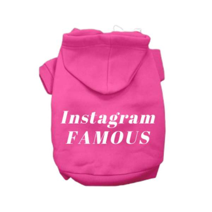 Pink - IG Famous Hoodie - Small