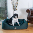 Armarkat Bolstered Dog Bed, Anti-Slip Pet Bed, Laurel Green - XL