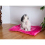 Vibrant Pink - Armarkat Pet Bed Mat, Dog Crate Soft Pad W Poly Fill Cushion - M