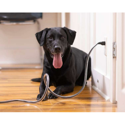 PETCORDS HEAVY DUTY 8FT CORD PROTECTOR FOR PETS MADE IN USA