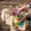 RETRO - Adventurer 2-piece Dog Pack With EZ Latch  Harness - Small