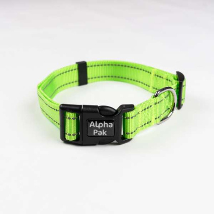 Kiwi Green  - Appalachian Kiwi Green Dog Collar - Small 5/8in wide by 8