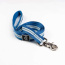 Jazz Blue Flat  - Appalachian Jazz Blue Flat Dog Leash - Medium 3/4in. wide by 6ft. long