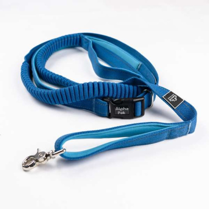 Cascades Metallic Blue Stretchable Runner Dog Leash - 6 to 10 feet when stretched.