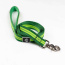 Kiwi Green Flat  - Appalachian Kiwi Green Flat Dog Leash - Medium 3/4in. wide by 6ft. long