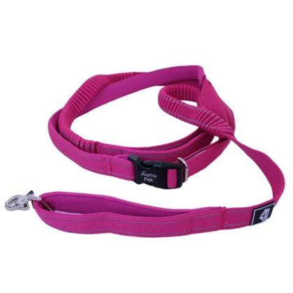 Cascades Plum Boysenberry Stretchable Runner Dog Leash - 6 to 10 feet when stretched.
