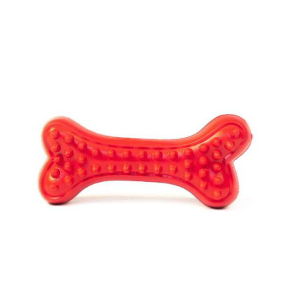 Arlo\'s Favorite Rubber Bone