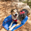 Eclipse Blue Compressible Waterproof Dog Sleeping Mat - Eclipse Blue Sleeping Mat