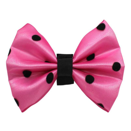 1 - PR1001|Pets Ribbons - 5\