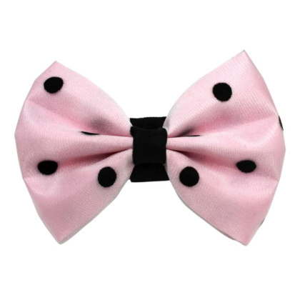 2 - PR1001|Pets Ribbons - 5\