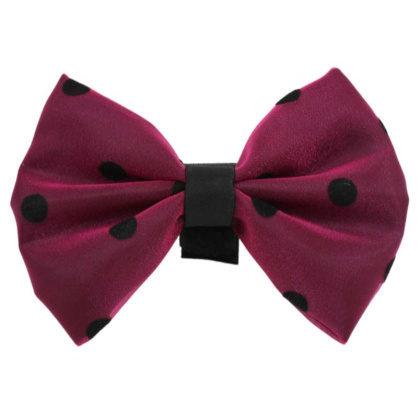 8 - PR1001|Pets Ribbons - 5\