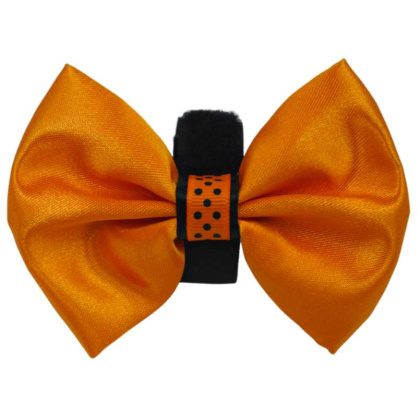 Orange - PR3000HD|Pets Ribbons - 2\