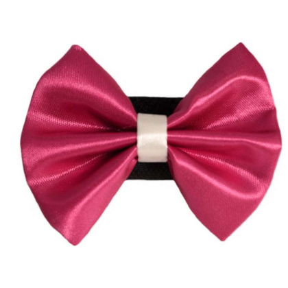 4 - PR3001|Pets Ribbons - 3\