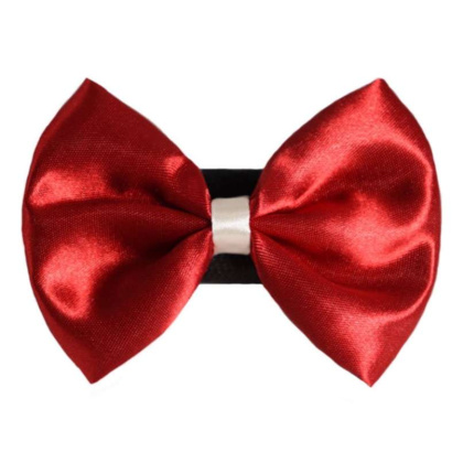 7 - PR3001|Pets Ribbons - 2\