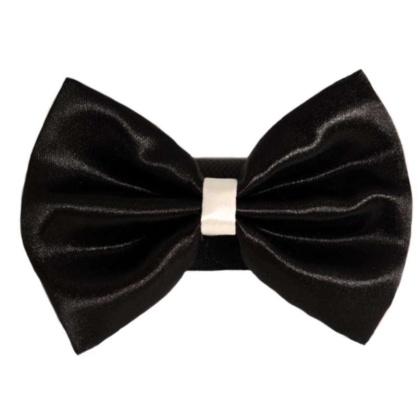 2 - PR3001|Pets Ribbons - 6\