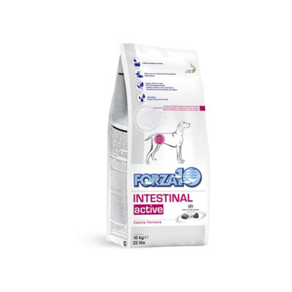 Forza10 Active Intestinal Support Diet Dry Dog Food - 22-lb bag
