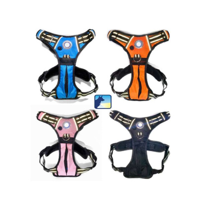 Blue - Headlight Harness, Dog Harness with Built In LED Light - XXL